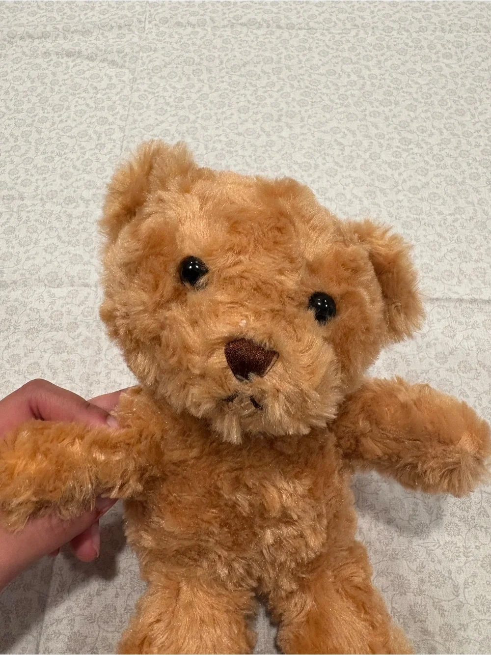 Brown Plush Teddy Bear Stuffed Animal, Black Eyes, Single Plush Bear